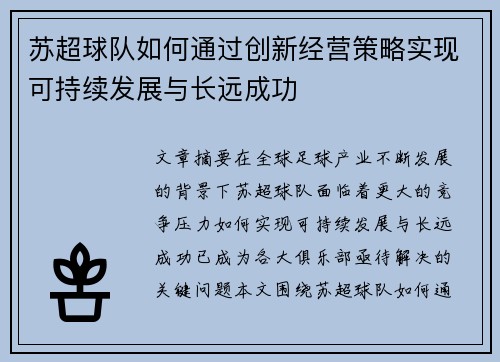 苏超球队如何通过创新经营策略实现可持续发展与长远成功